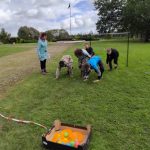 Liepsalas 2025 19 09 (4)